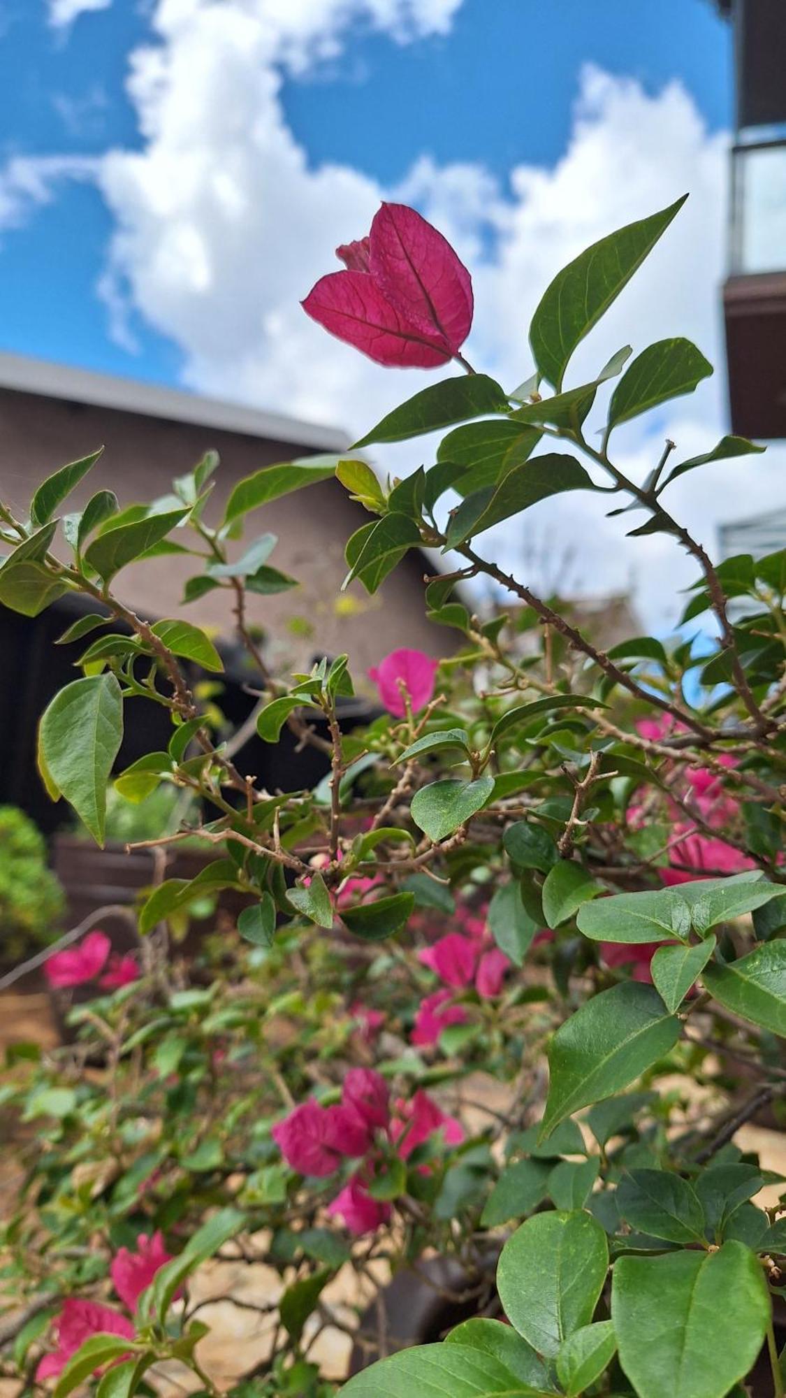 Nosso Loft Encantador Em Campos do Jordão Kültér fotó